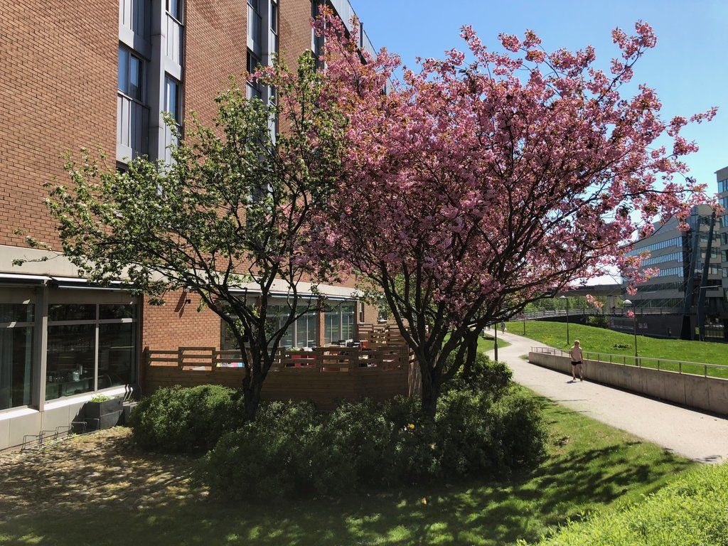 Scandic Kista Stockholm Kültér fotó